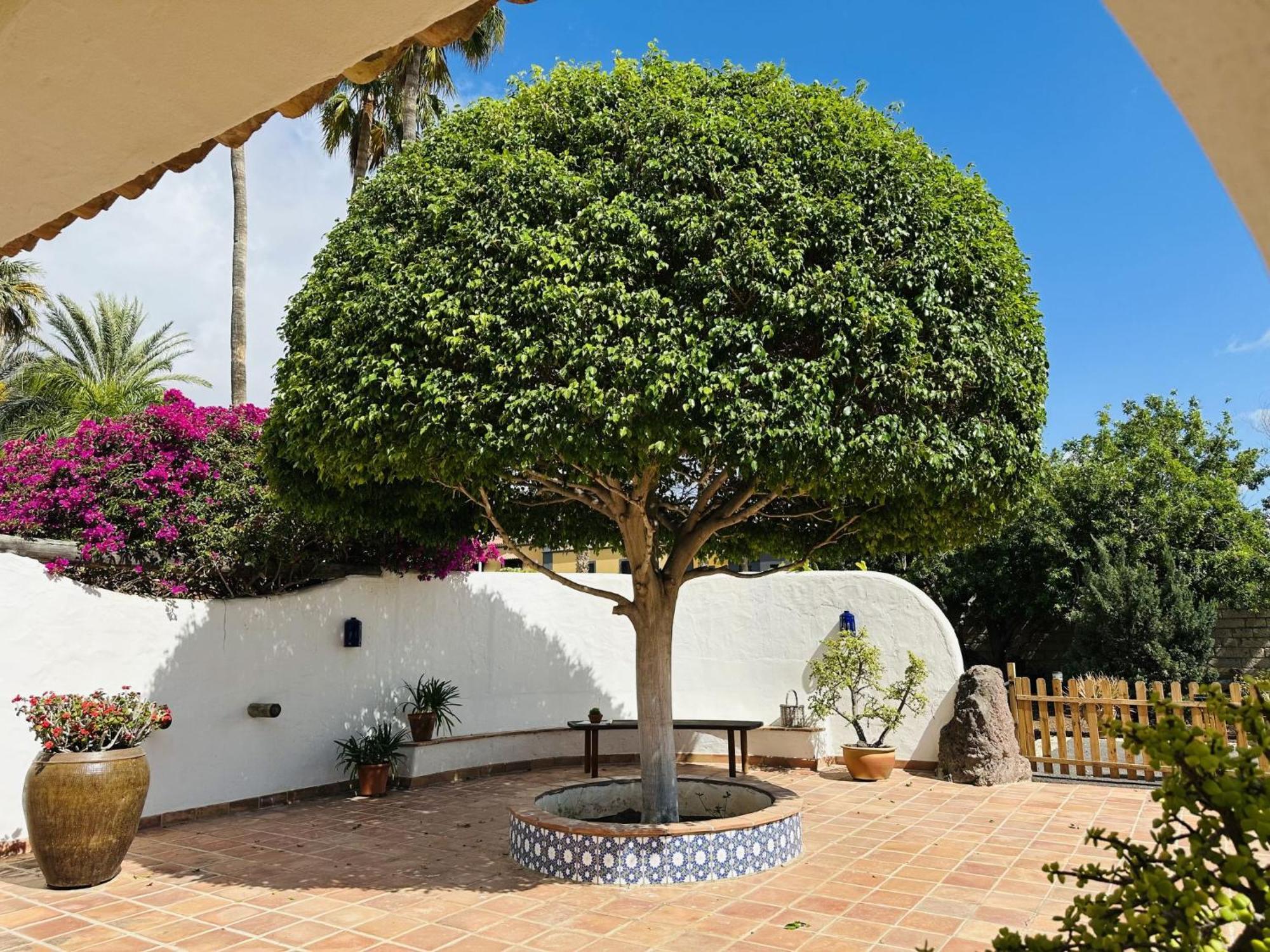 Villa Finca Ingala By Interhome Costa Adeje  Extérieur photo